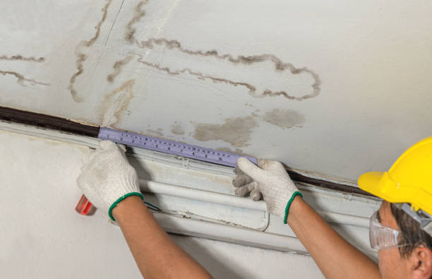 Reliable Water Damage Repair contractor in Wyoming, WY by Hirex Water Damage